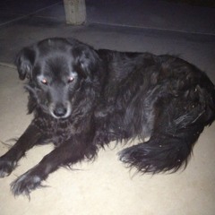 Scenic World (Beirut)