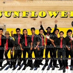 SUNFLOWER LIVE IN JA-ELA 2013 - SRI LANKAN LIVE BAND SHOW- VIDEOMART95.COM (14)