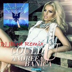 Andreea Banica - Could You (Jbird Remix)