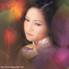 Như Quỳnh - Khóc Thầm