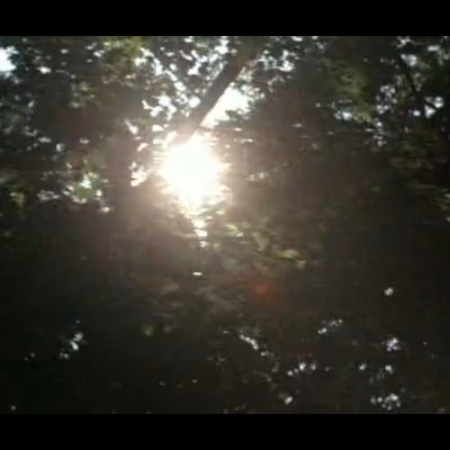 Capcom- Space Dolphin S&C