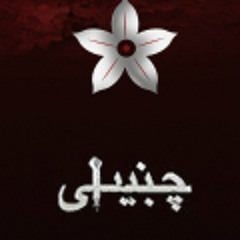 Inqilaab (Chambaili 2013) | PakistaniCinema