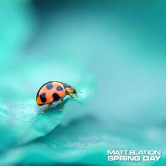 Matt Elation - Spring Day (DJ Set)