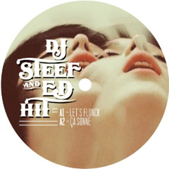 Dj Steef & Ed Hit_Let's Flunck (Biomix 04)