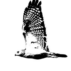 The Declaration of Independance