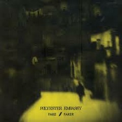 Polyester Embassy - Later On