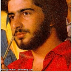 حمید شب خیز-گل حسرت