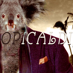 ATROPICALDISCO-Propet Cowley Night(MASTER)