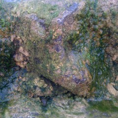 Solo bass clarinet and clarinet at Shoreditch Church, April 22nd