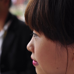 trinh cong son