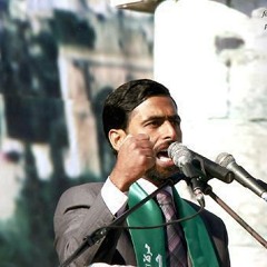 جحد الحقائق - مشير المصري