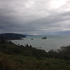 Shoreline - Max Jeffers and Luke Mulholland