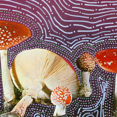 Tripping on Shrooms