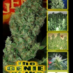 Mac Dre - Genie Of The Lamp