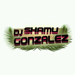 Romanticolatino -La Niña Tiene Swing ( Shamu Gonzalez Edit)