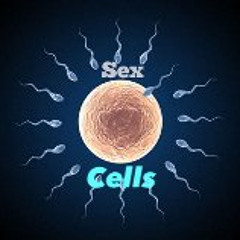 sex cells