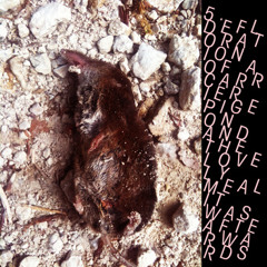 Suspicion Breeds Confidence -  Defloration Of A Carrier Pigeon And The Lovely Meal It Was Afterwards