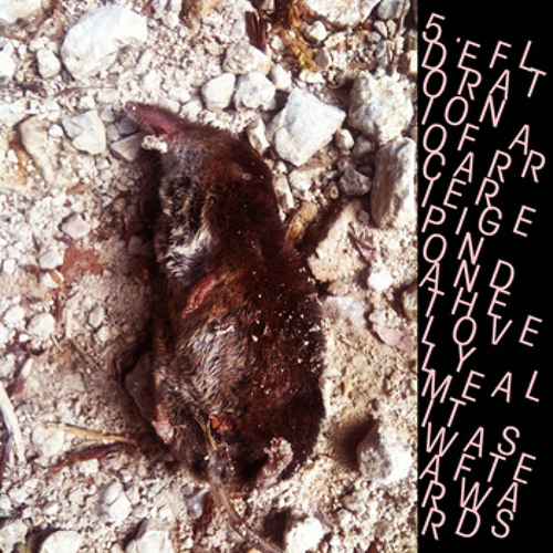 Suspicion Breeds Confidence -  Defloration Of A Carrier Pigeon And The Lovely Meal It Was Afterwards