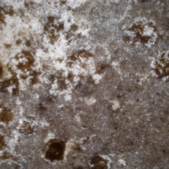 Clearly Opaque