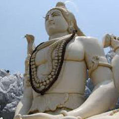 Terrible Calm - Asialope