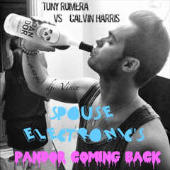 Tony Romera VS Calvin Harris feat. Example - Pandor Coming Back (Spouse Electronic's Bootleg)