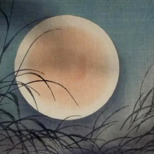 MakeShift Frequencies – April Moon