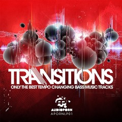 AudioPorn Records - 'Transitions' LP