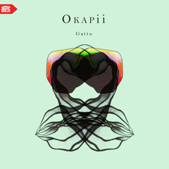 Okapii - Gattu