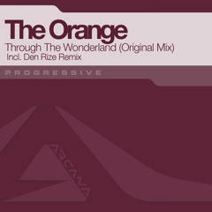 The Orange - Through The Wonderland (Den Rize Remix) [ASOT 610]