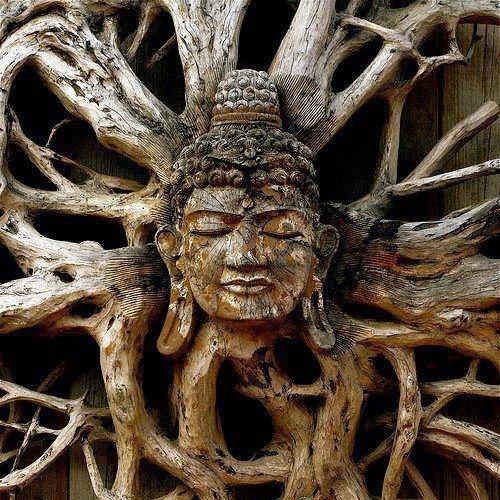 "The elixir of life"-Promo Set-Tree of Life Festival!