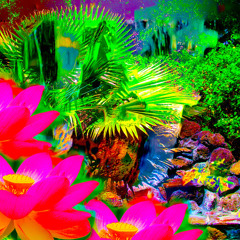 Neon Jungle - Dav Lyric