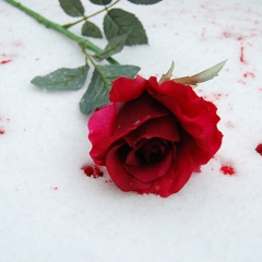 E.Rose - In My Dreams