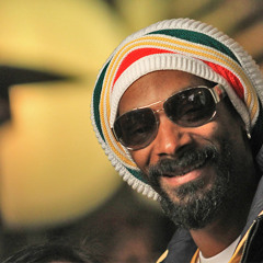 “No Guns Allowed” - Snoop Lion  (Live)
