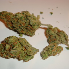 Smoke get high (Rick Ross - Amsterdam)