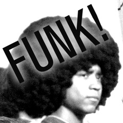Nhan Solo: FUNK FUNK & More F*****g FUNK! - Point Blank Podcast Series (April 2013)