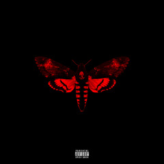 Lil Wayne - Wowzerz