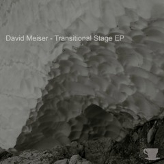 David Meiser - Transitional Stage EP