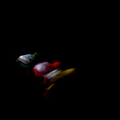 Procedure - Precipice