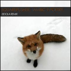 Squarepusher - Iambic 9 Poetry (Forekast Remix) *FREE DL*