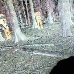 Please Don't Leave Me Behind /Goodbye