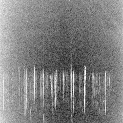 White Noise Dance Party