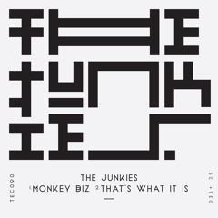 The Junkies - That's What It Is [SC-EDIT]