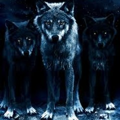 Wild P. - Dances with Wolves (Dubstep)