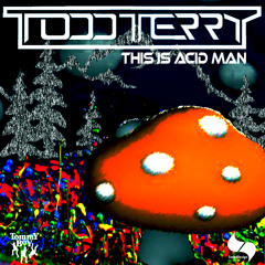 Todd Terry - This is Acid Man
