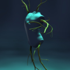 Forbidden Circle - The Sacred