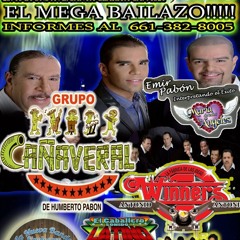 TIENE ESPINAS EL ROSAL-GRUPO CANAVERAL DE PAVON ENVIVO