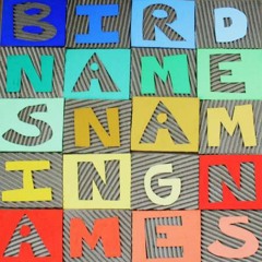 Another Locked Costume For Your Dreams