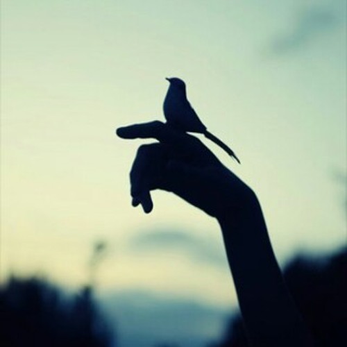 كيف يرزقك الله ??!