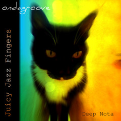 'Feel So High' Ondagroove (Juicy Jazz Fingers EP)
