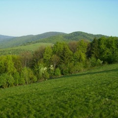 N3O - Svet je plný zelene